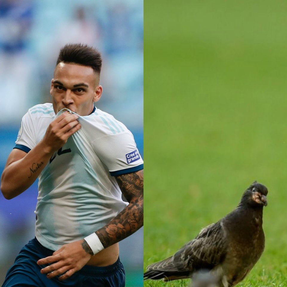 Copa América, curiocidades,